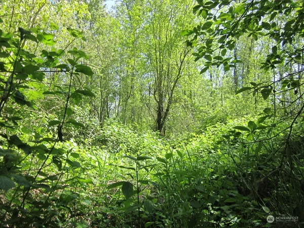 $164,995 | 20633 Southeast 388th Street, Auburn, WA 98092