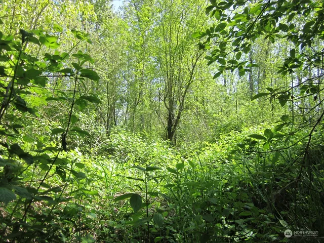 $164,995 | 20633 Southeast 388th Street, Auburn, WA 98092