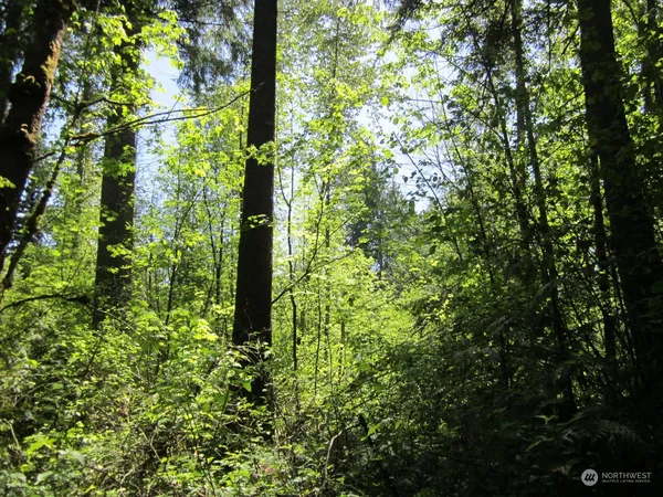 $164,995 | 20633 Southeast 388th Street, Auburn, WA 98092