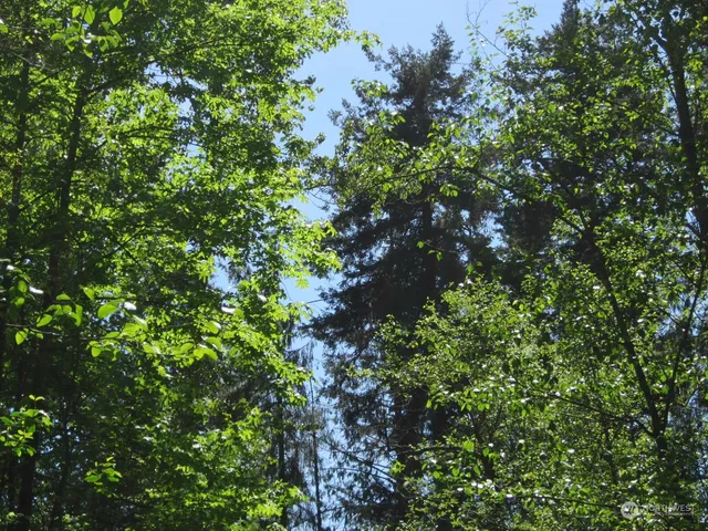 $164,995 | 20633 Southeast 388th Street, Auburn, WA 98092