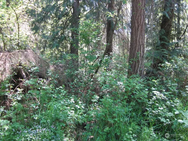 $164,995 | 20633 Southeast 388th Street, Auburn, WA 98092