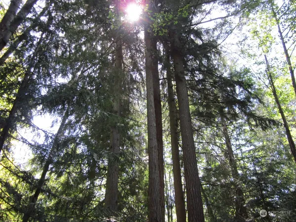 $164,995 | 20633 Southeast 388th Street, Auburn, WA 98092