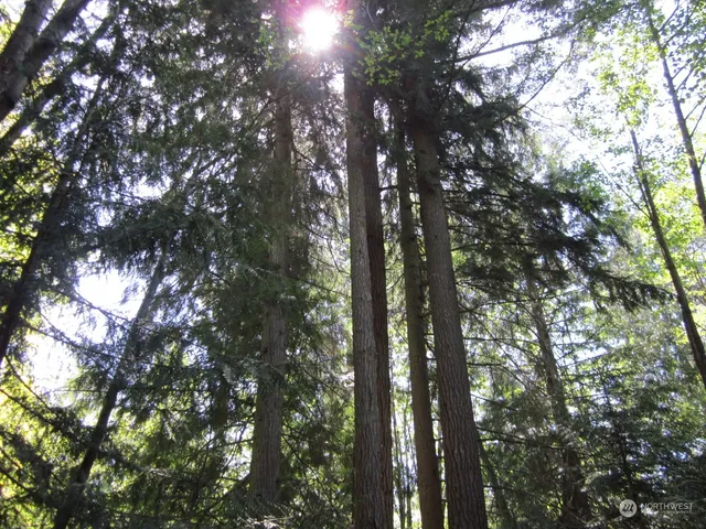 $164,995 | 20633 Southeast 388th Street, Auburn, WA 98092