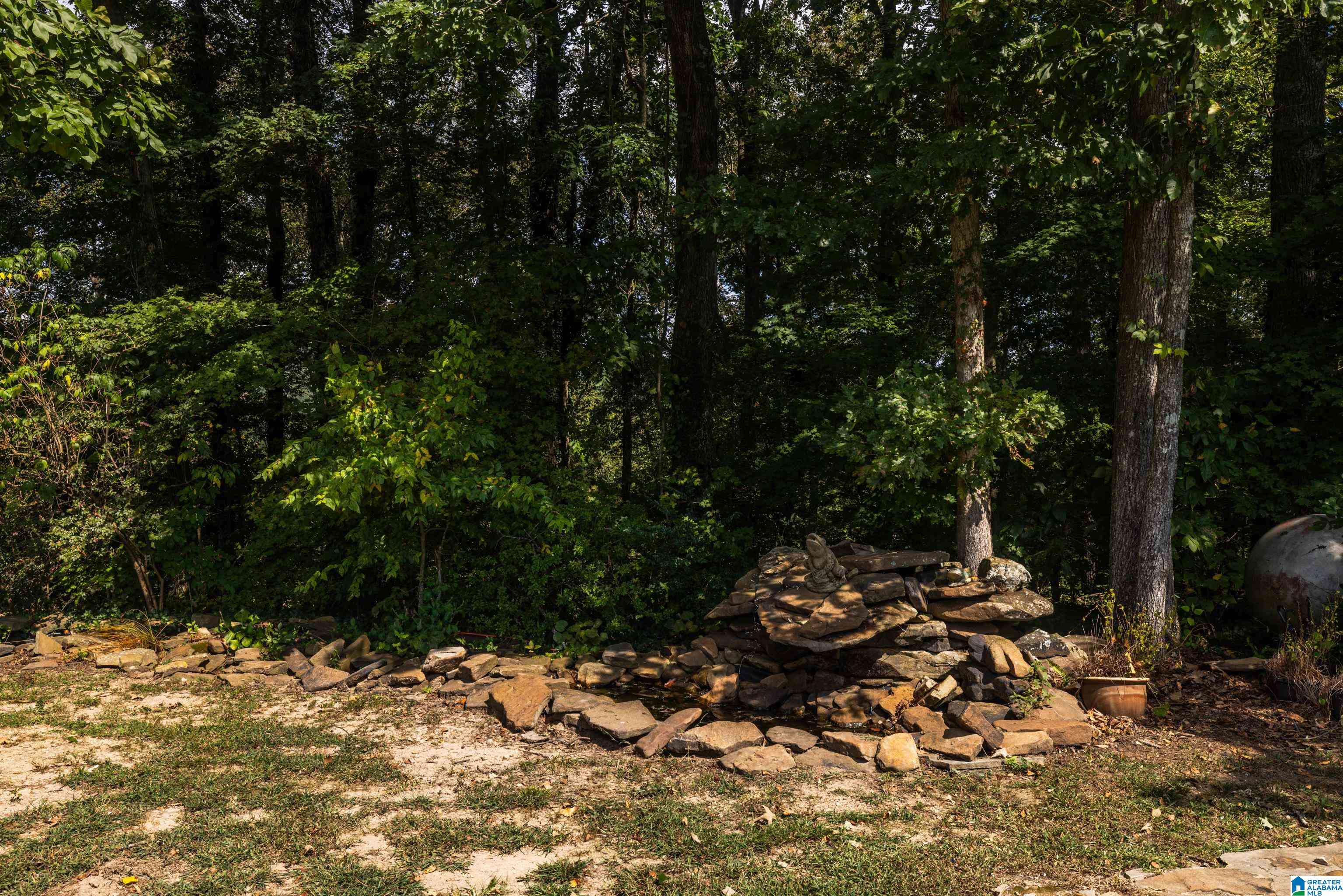3124 County Road 39 Oneonta, AL 35121 - Photo 83 of 98