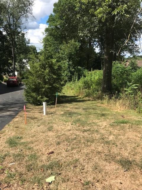 113 Nicola Lane Indiana, PA 15701 - Photo 2 of 9 a view of a yard with an trees