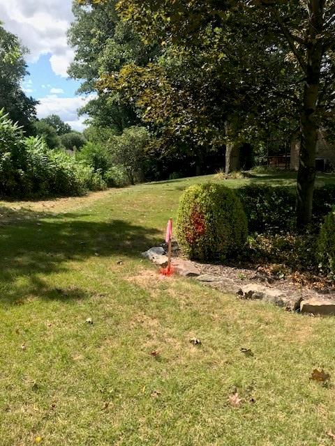 113 Nicola Lane Indiana, PA 15701 - Photo 3 of 9 a view of a garden with large trees