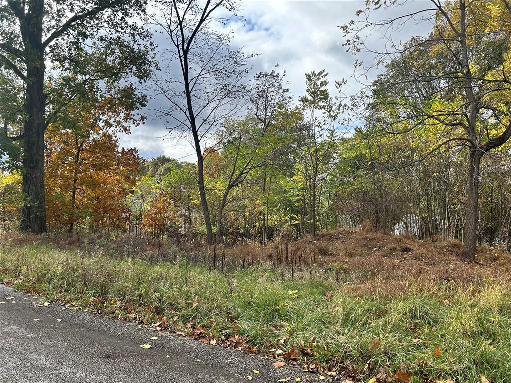 113 Nicola Lane Indiana, PA 15701 - Photo 6 of 9 a big yard with lots of green space and plants