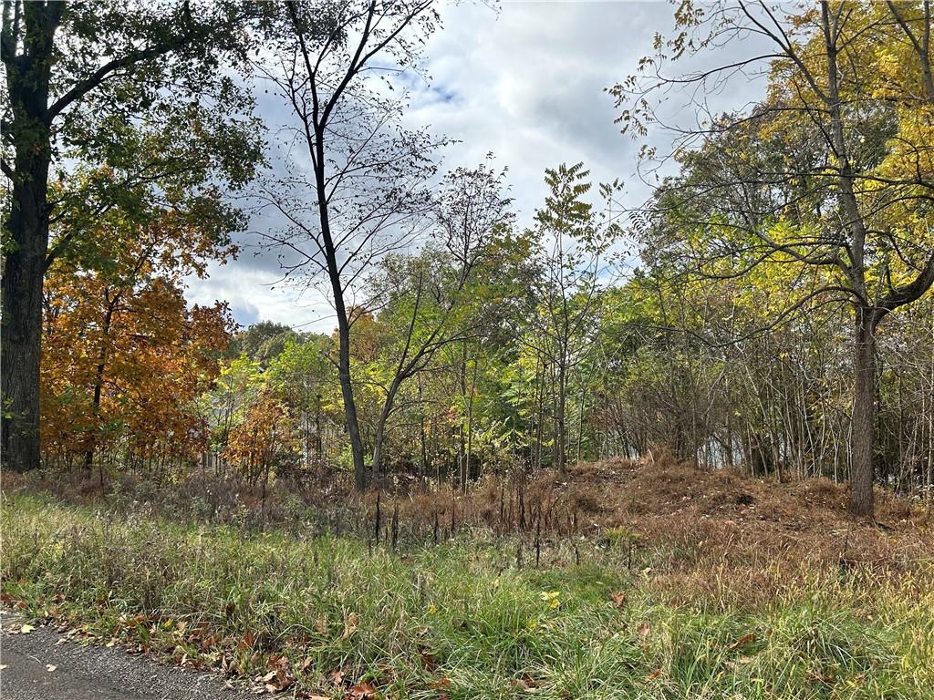 113 Nicola Lane Indiana, PA 15701 - Photo 7 of 9 a view of outdoor space and trees