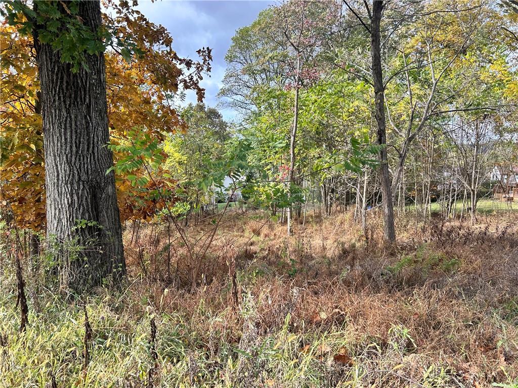 113 Nicola Lane Indiana, PA 15701 - Photo 8 of 9 a view of forest