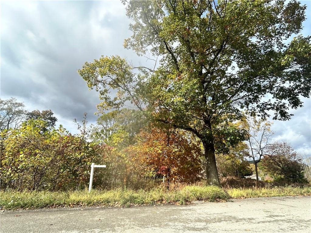 113 Nicola Lane Indiana, PA 15701 - Photo 9 of 9 a view of a yard with plants and trees