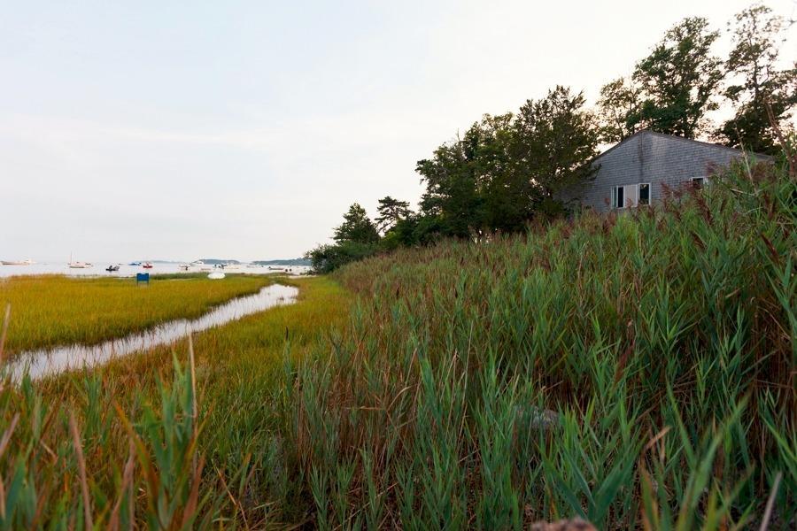 141 Portanimicut Road Orleans, MA 02653 - Photo 8 of 30 Additional Photo