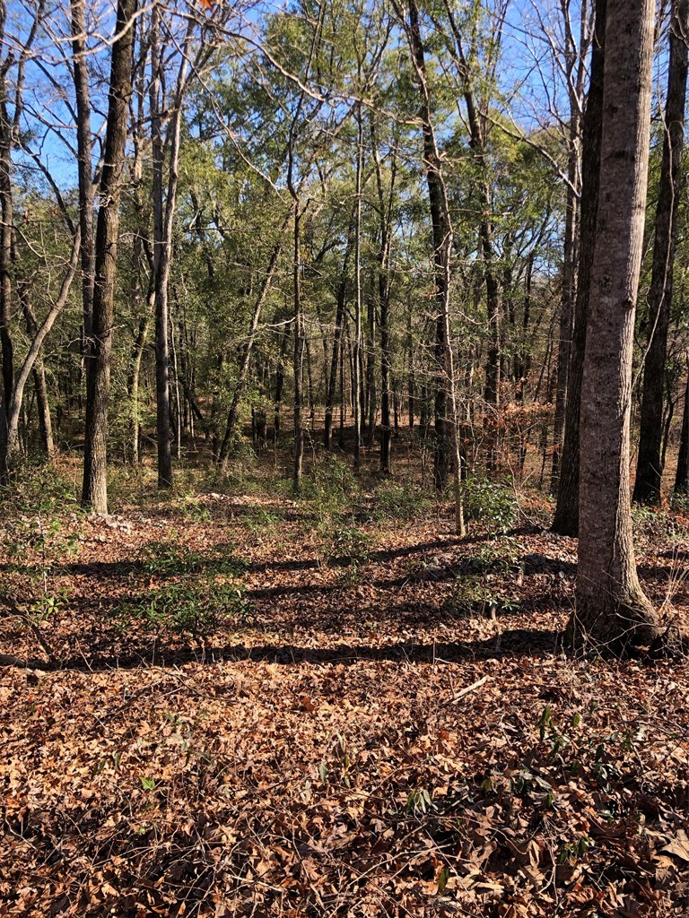 105 Ridge Way Forsyth, GA 31029 - Photo 3 of 9 Additional Photo
