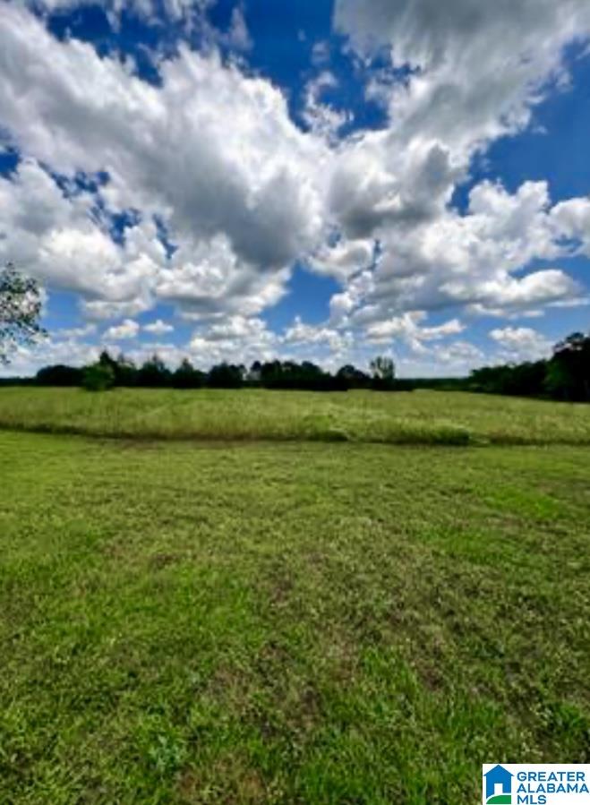 31815 Rose Hill Road Dozier, AL 36028 - Photo 17 of 46