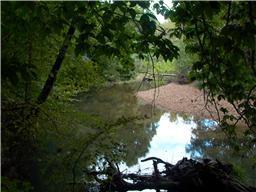 0 Lower Lick Creek Road Decaturville, TN 38329 - Photo 8 of 9 Gallery Image 8