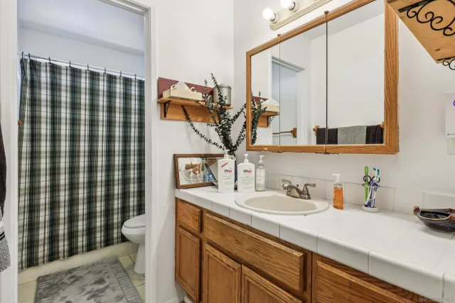 a bathroom with a sink a toilet and shower curtain