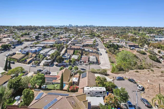 a view of a potted flower in the backyard of a house