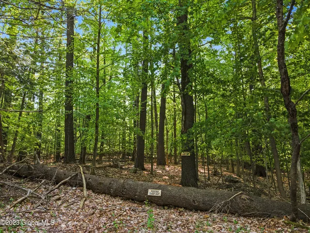 $225,000 | 1732 Pilot Knob Road, Fort Ann, NY 12827