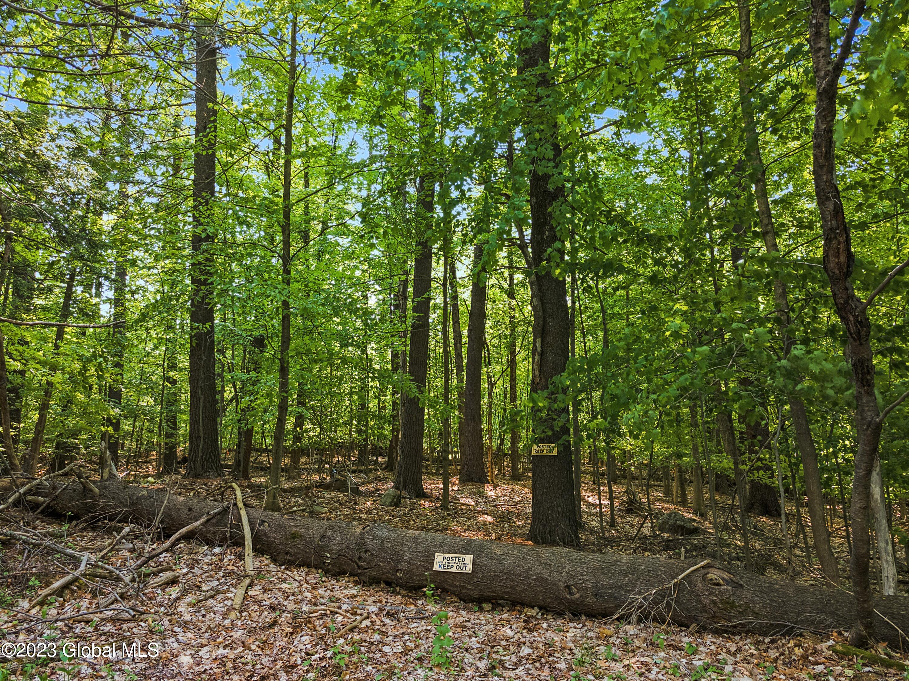 1732 Pilot Knob Road Fort Ann, NY 12827 - Photo 2 of 16 DJI_0031