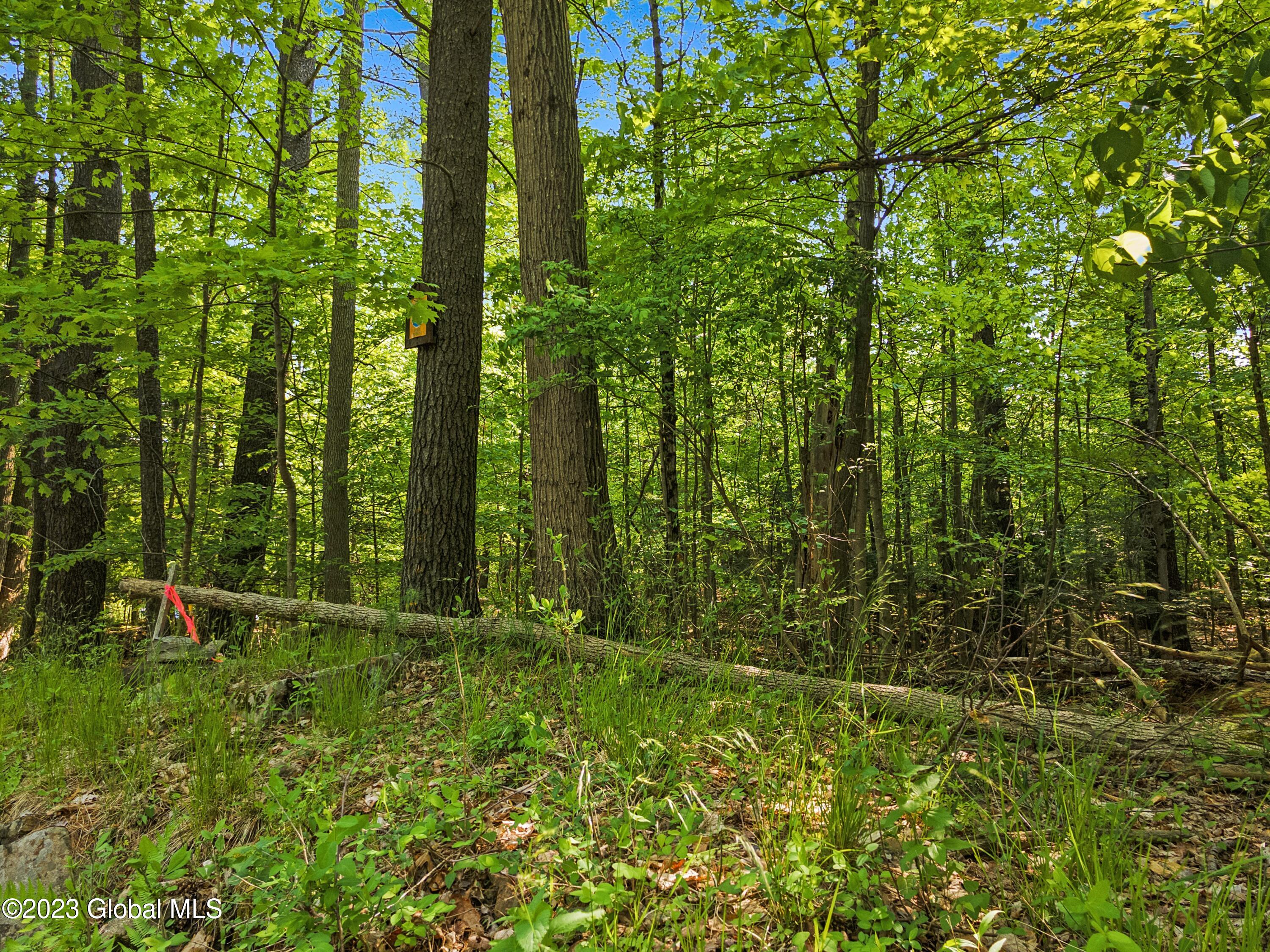 1732 Pilot Knob Road Fort Ann, NY 12827 - Photo 3 of 16 DJI_0073