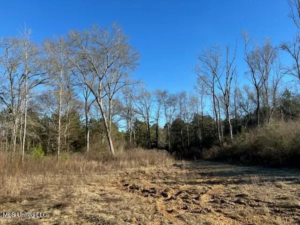 $204,000 | 8127 Magnolia Holmesville Road, McComb, MS 39648