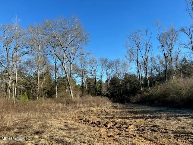 $204,000 | 8127 Magnolia Holmesville Road, McComb, MS 39648