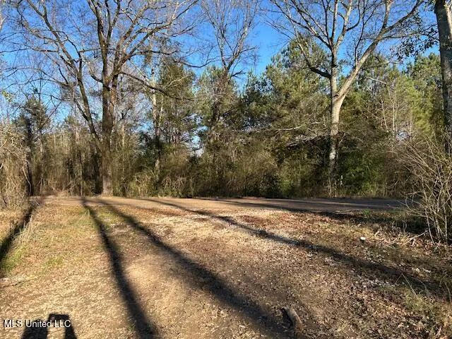 $204,000 | 8127 Magnolia Holmesville Road, McComb, MS 39648