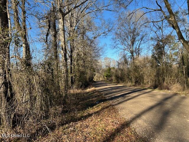 8127 Magnolia Holmesville Road McComb, MS 39648 - Photo 12 of 17 IMG_2746 (1)