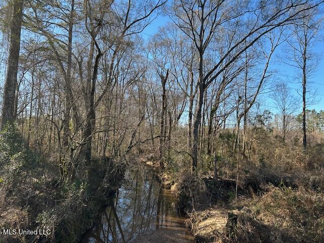 8127 Magnolia Holmesville Road McComb, MS 39648 - Photo 13 of 17 IMG_2747