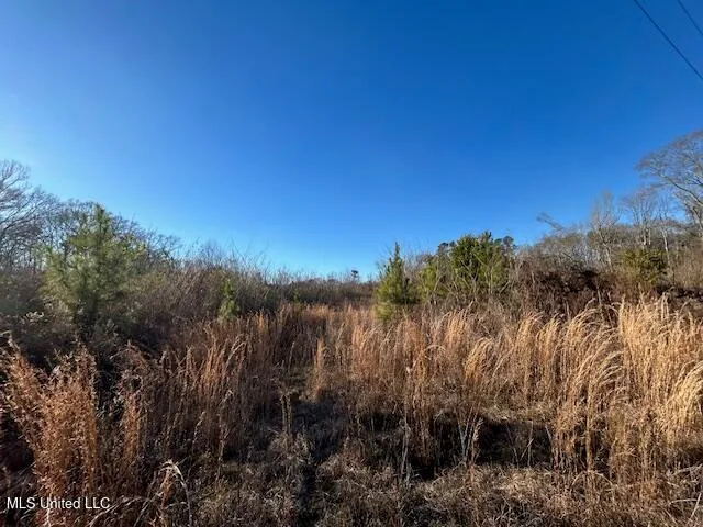 $204,000 | 8127 Magnolia Holmesville Road, McComb, MS 39648