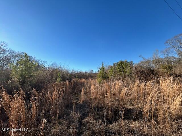 8127 Magnolia Holmesville Road McComb, MS 39648 - Photo 15 of 17 IMG_2749