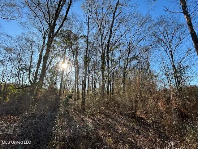 $204,000 | 8127 Magnolia Holmesville Road, McComb, MS 39648