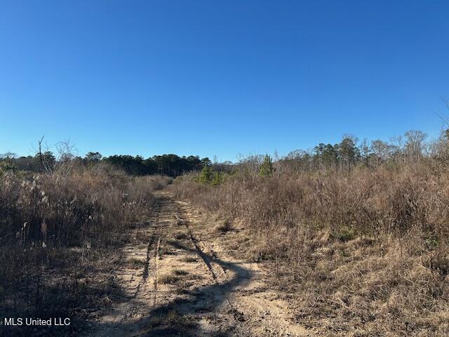 8127 Magnolia Holmesville Road McComb, MS 39648 - Photo 2 of 17 IMG_2734 (1)