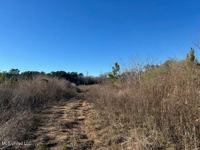 $204,000 | 8127 Magnolia Holmesville Road, McComb, MS 39648