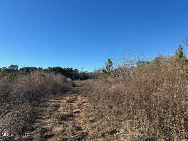 8127 Magnolia Holmesville Road McComb, MS 39648 - Photo 3 of 17 IMG_2735 (1)