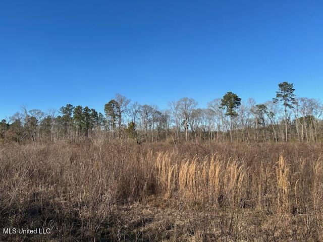 8127 Magnolia Holmesville Road McComb, MS 39648 - Photo 4 of 17 IMG_2736 (1)