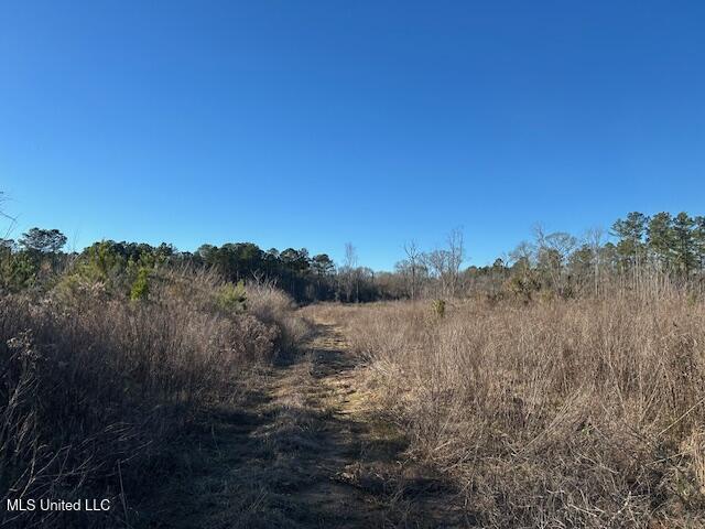 8127 Magnolia Holmesville Road McComb, MS 39648 - Photo 5 of 17 IMG_2738 (1)