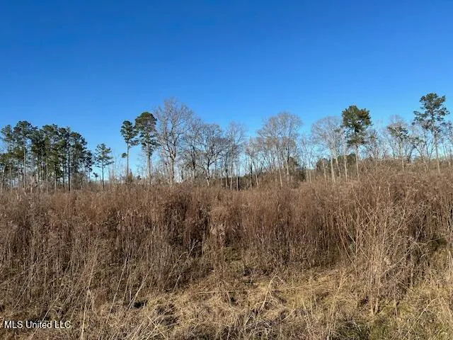 $204,000 | 8127 Magnolia Holmesville Road, McComb, MS 39648