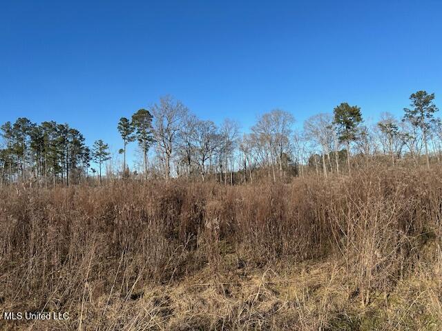 8127 Magnolia Holmesville Road McComb, MS 39648 - Photo 6 of 17 IMG_2739 (1)