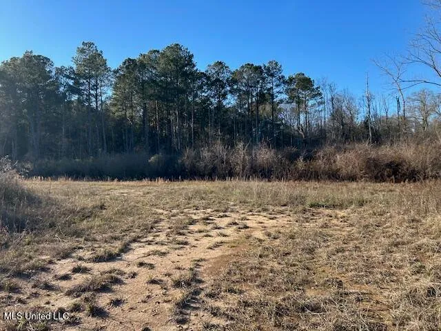 $204,000 | 8127 Magnolia Holmesville Road, McComb, MS 39648