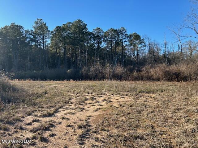 8127 Magnolia Holmesville Road McComb, MS 39648 - Photo 7 of 17 IMG_2740 (1)