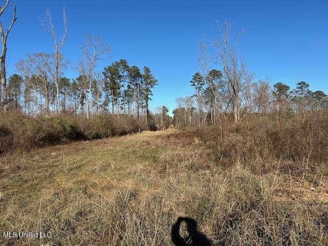 8127 Magnolia Holmesville Road McComb, MS 39648 - Photo 8 of 17 IMG_2741 (1)