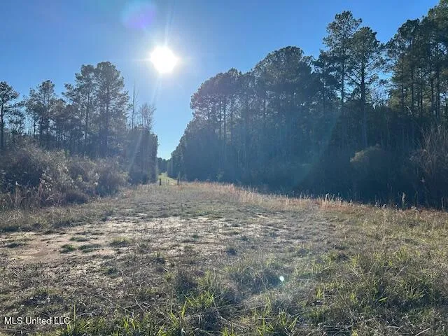 $204,000 | 8127 Magnolia Holmesville Road, McComb, MS 39648