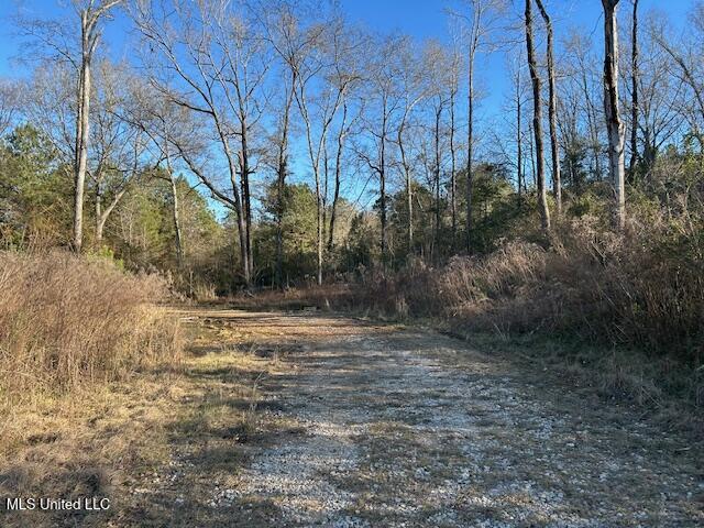 8127 Magnolia Holmesville Road McComb, MS 39648 - Photo 10 of 17 IMG_2744 (1)