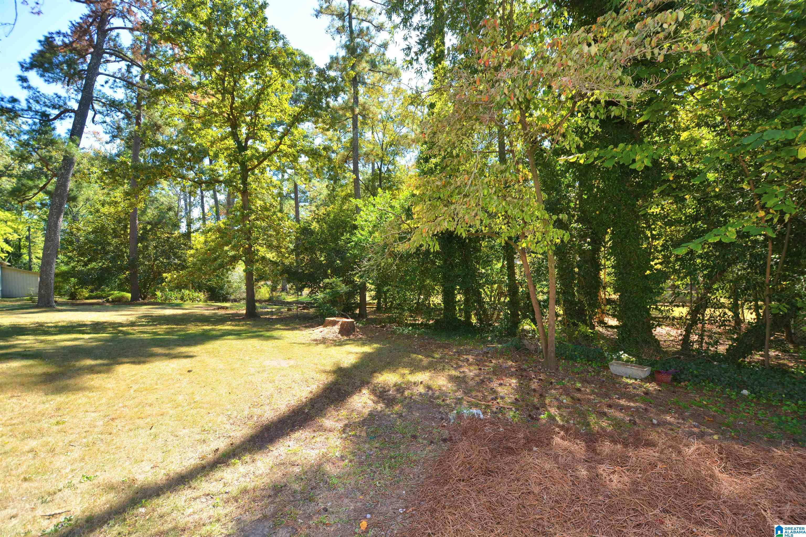 1813 Hummingbird Lane Birmingham, AL 35226 - Photo 49 of 50