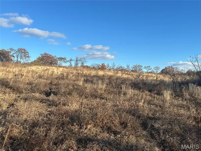 $599,000 | 11918 Spring Town Road, Mineral Point, MO 63660