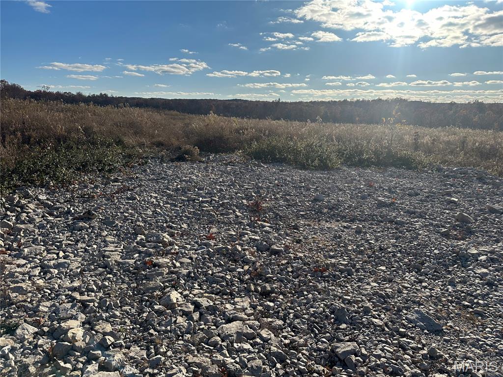 11918 Spring Town Road Mineral Point, MO 63660 - Photo 2 of 9