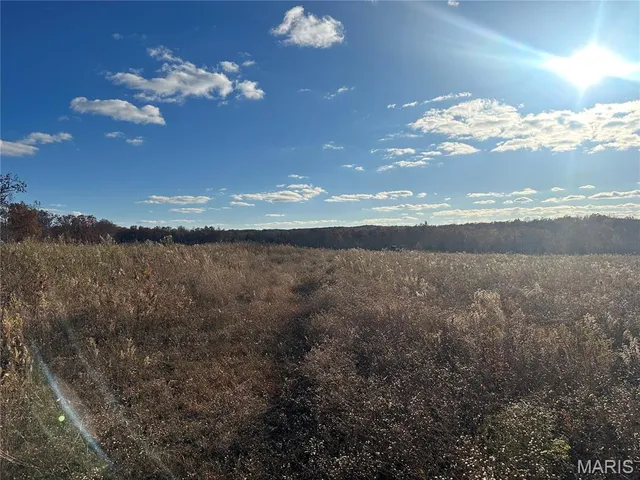 $599,000 | 11918 Spring Town Road, Mineral Point, MO 63660