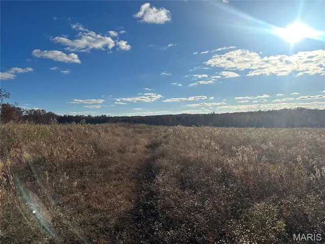 $599,000 | 11918 Spring Town Road, Mineral Point, MO 63660