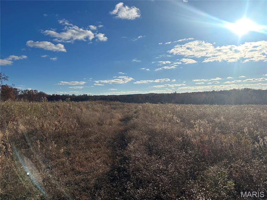 11918 Spring Town Road Mineral Point, MO 63660 - Photo 7 of 9