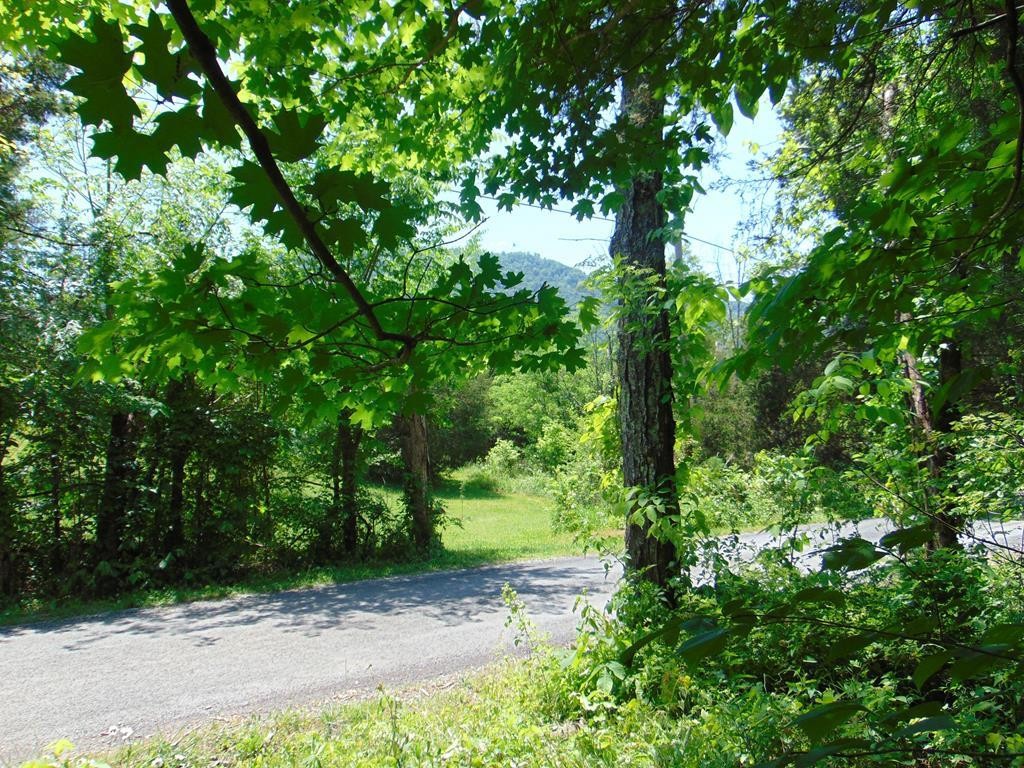 468 Co Road Englewood, TN 37329 - Photo 1 of 33